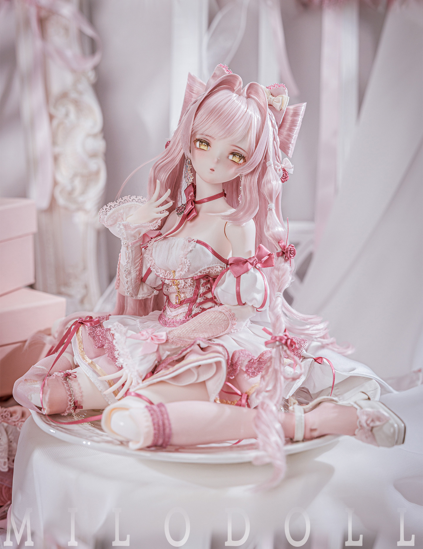 Aurelia-08