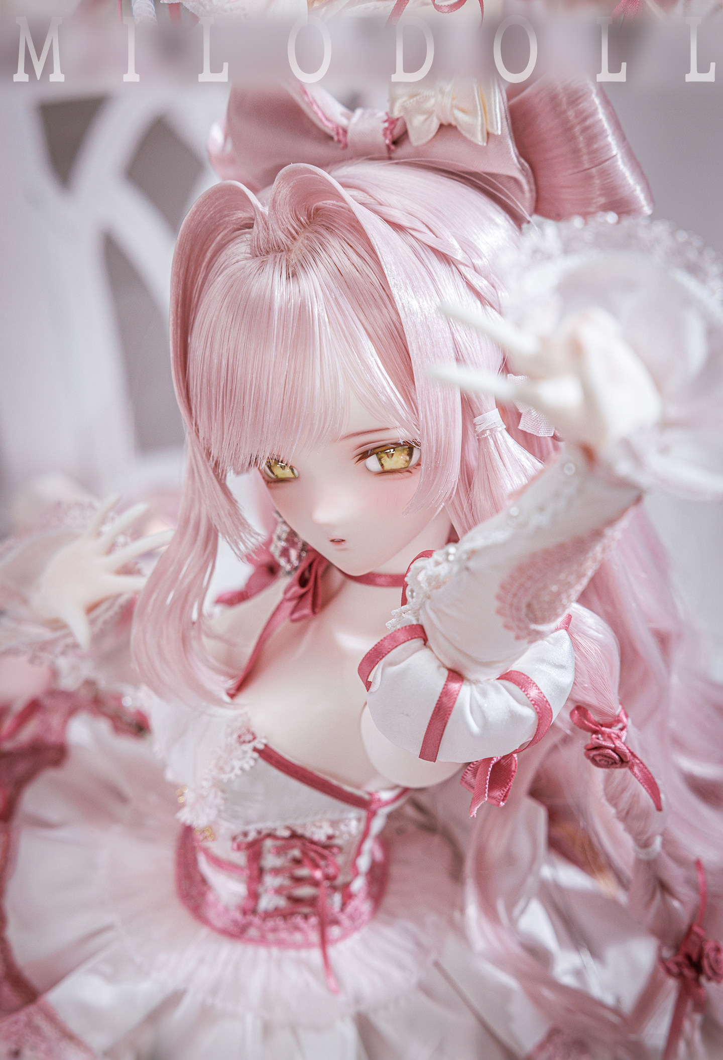 Aurelia-07