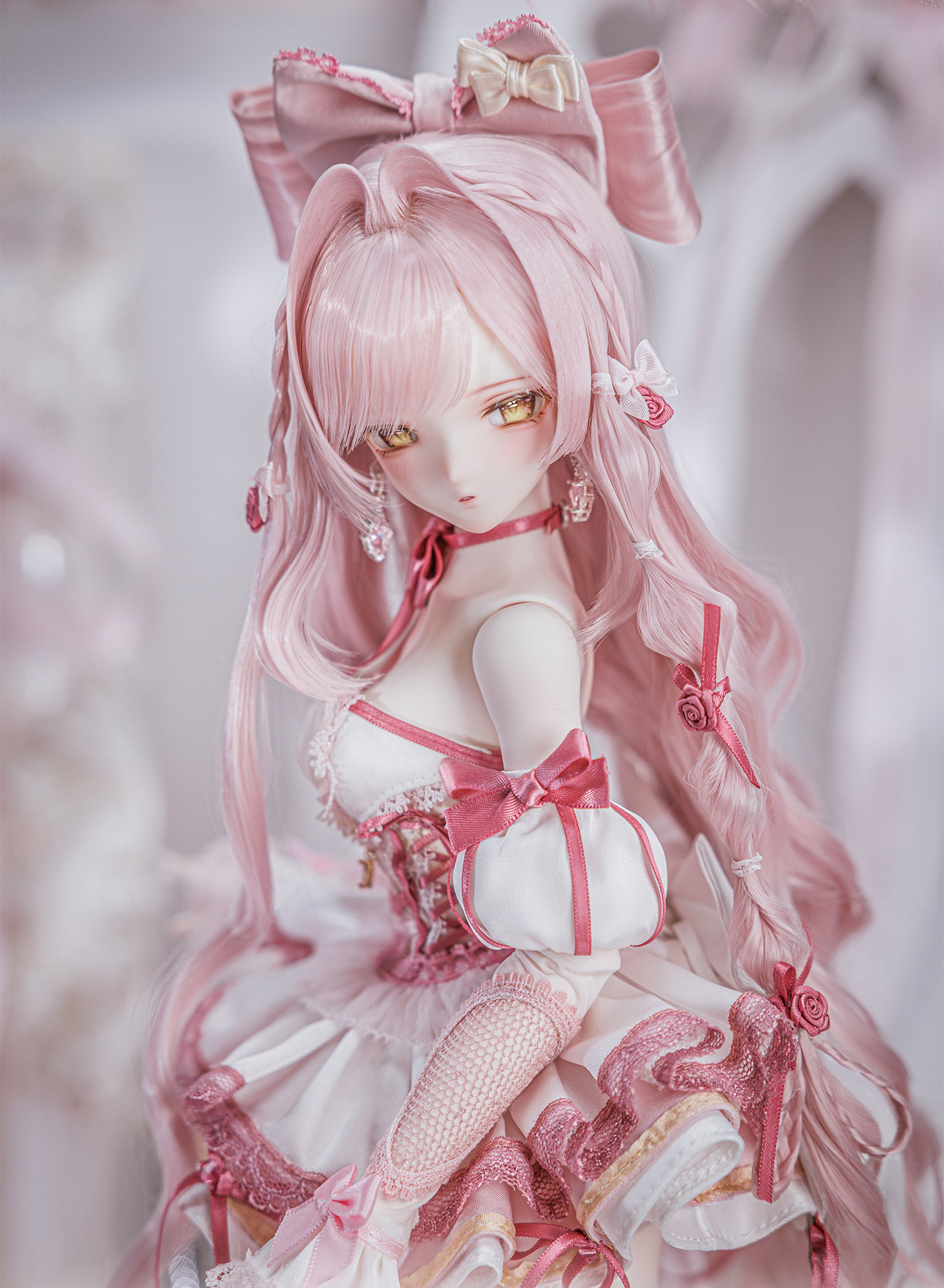 Aurelia-06