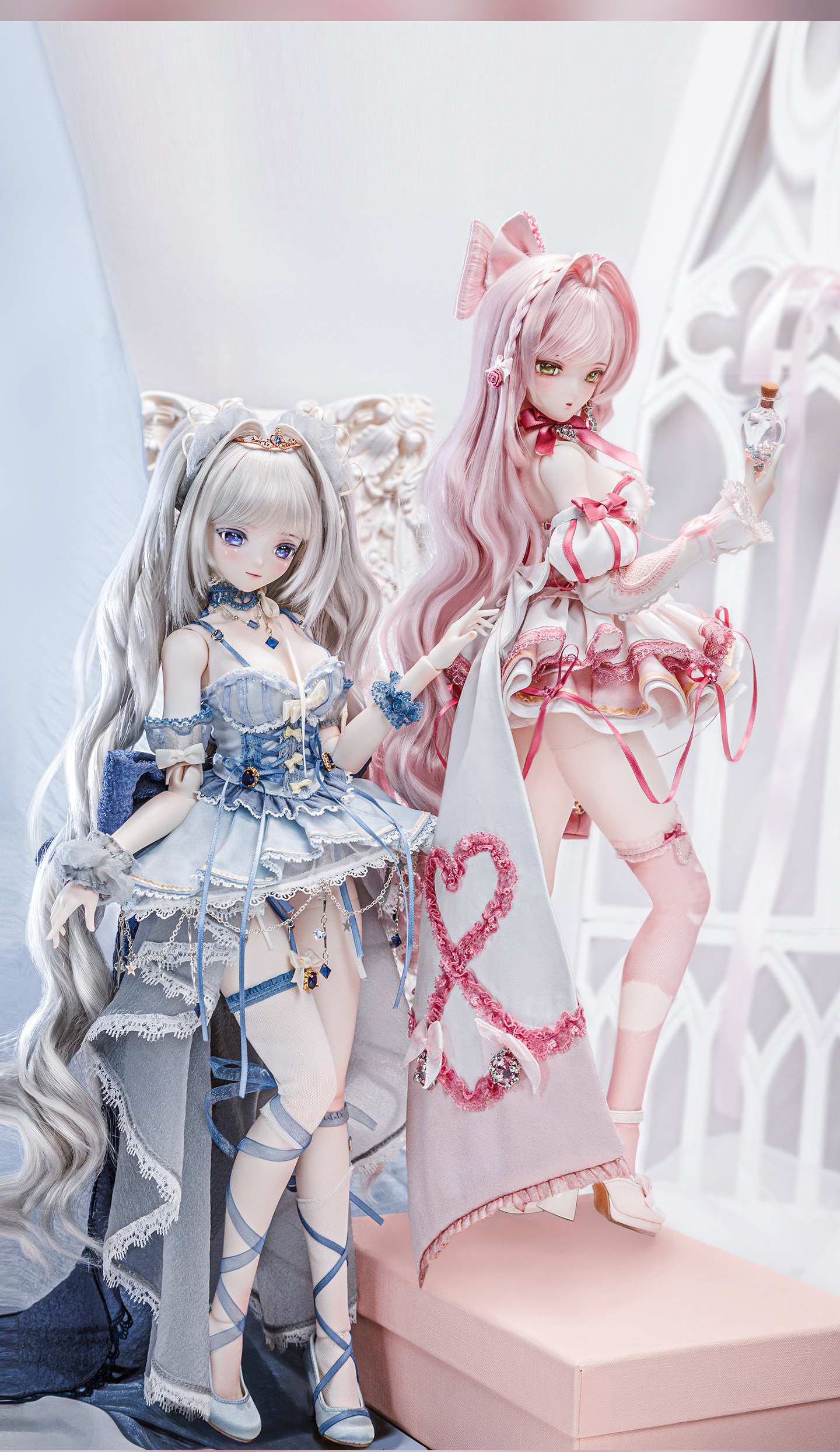 Aurelia-18