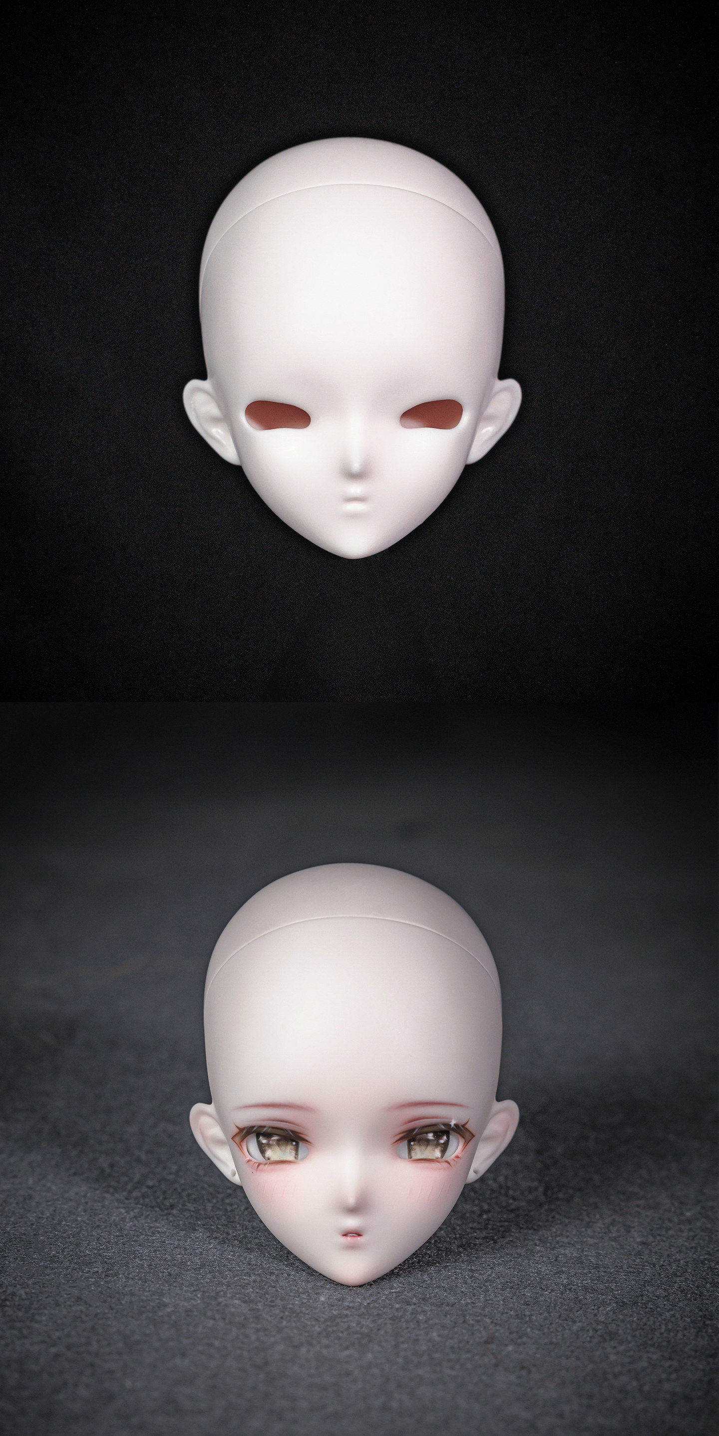 Aurelia-19