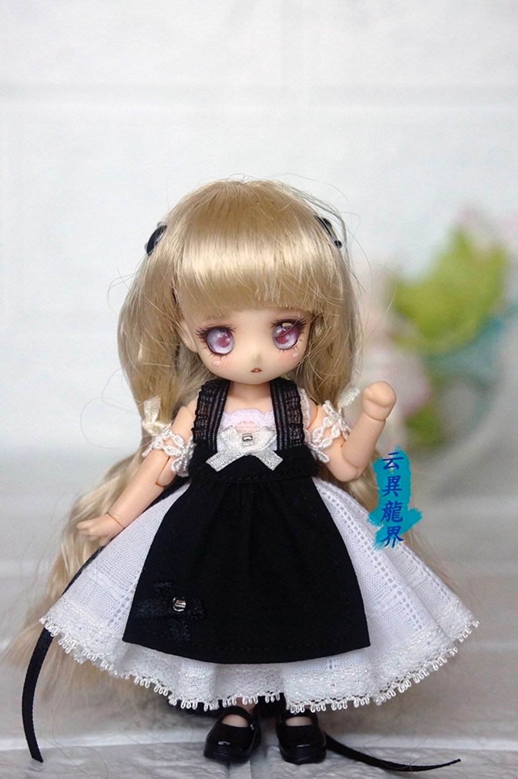 S__17047569