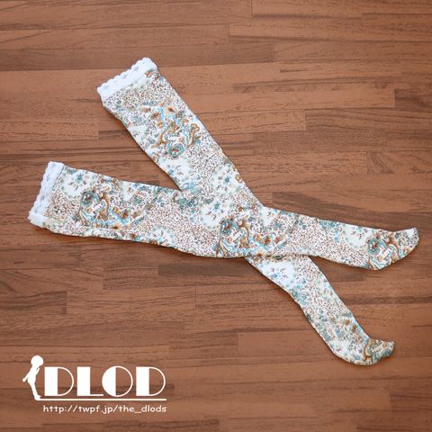 DSG3006E01-NT100