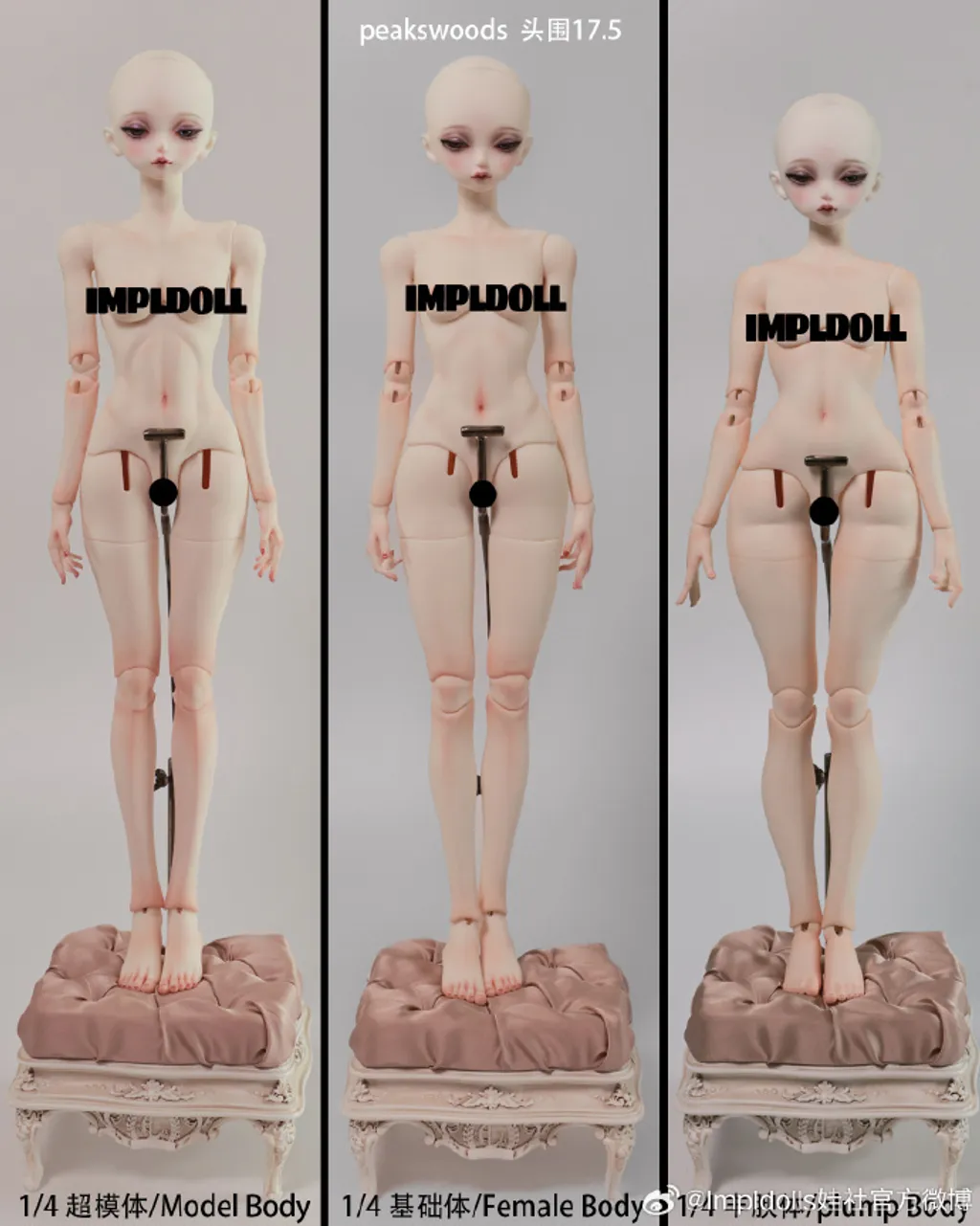 a81b2951ly1hte25v2i5gj215o1g31bb