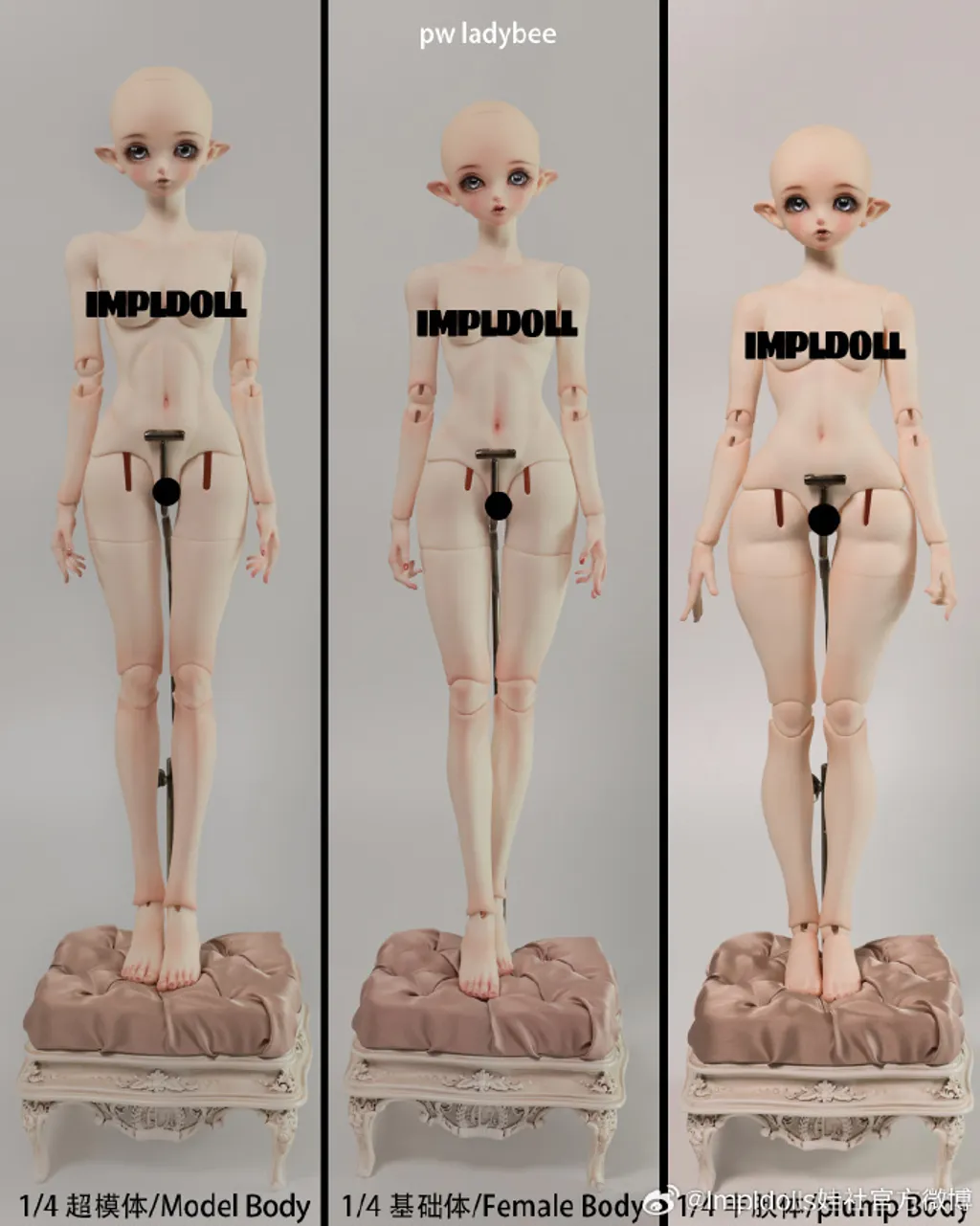 a81b2951ly1hte25v0g39j215o1g319n