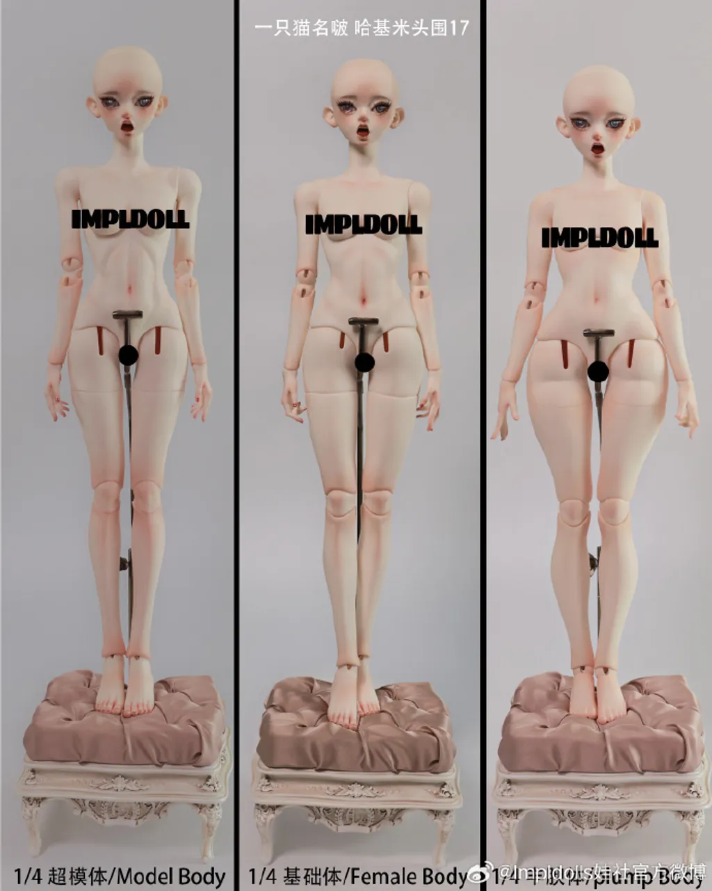 a81b2951ly1hte25v2ucfj215o1g37n5