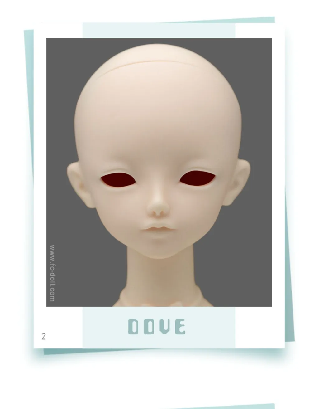 O1CN01FKVUM01cFZF8Ornip_!!2200722163571