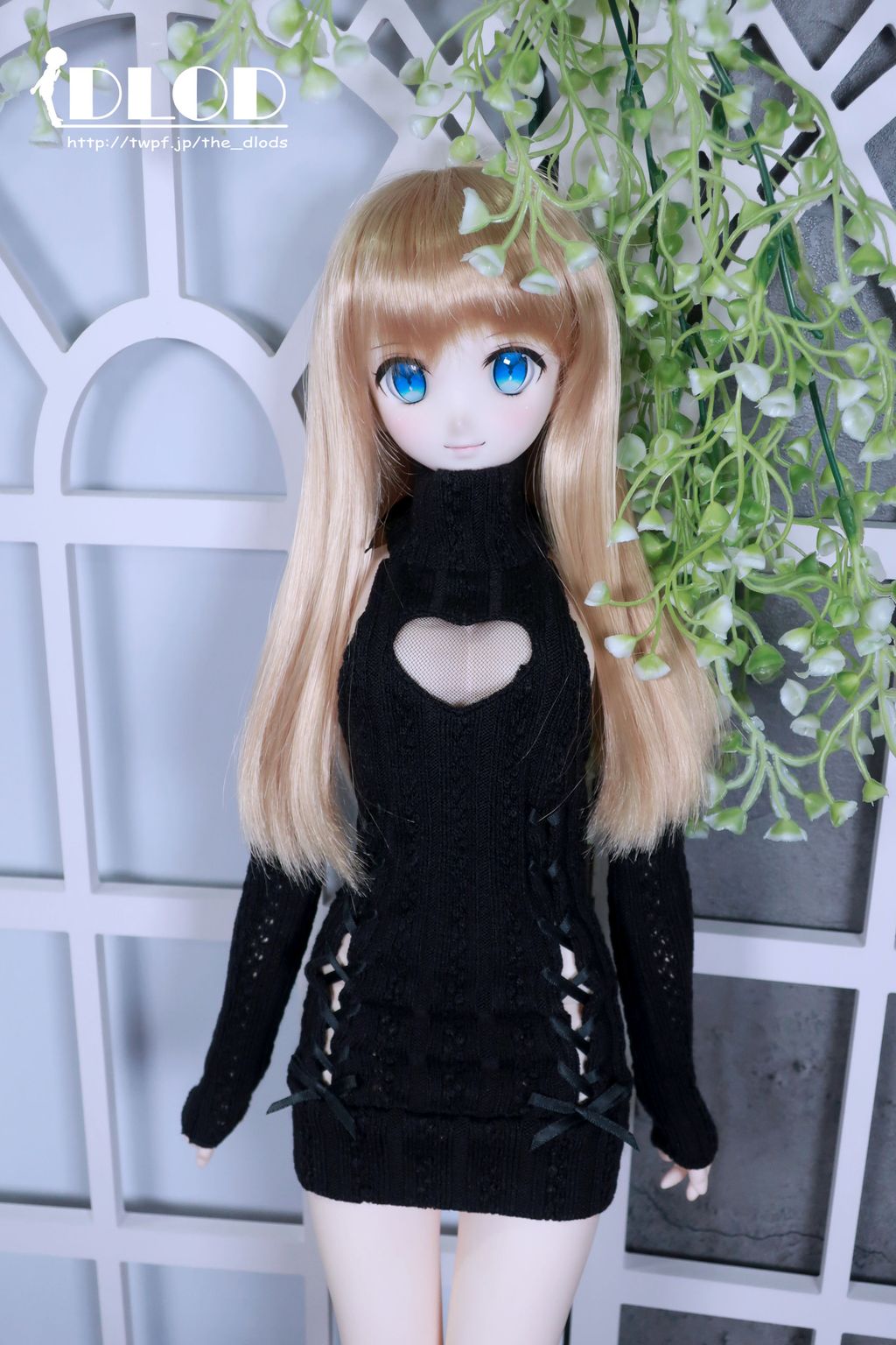 CEFBH005 (5)