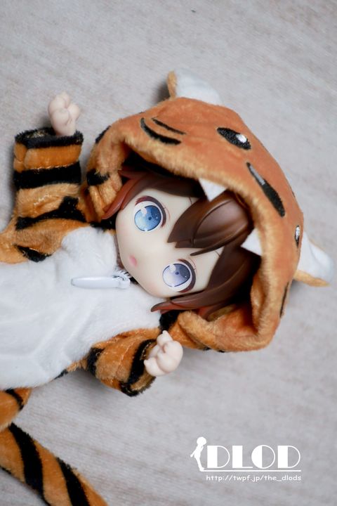 ARF009J01 (5)