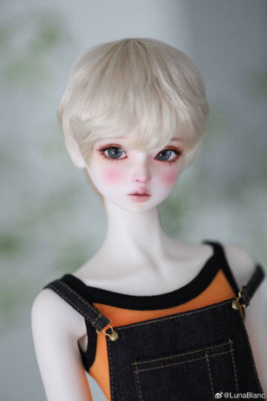 008BUlbXgy1hu813290x1j337k4tchdx