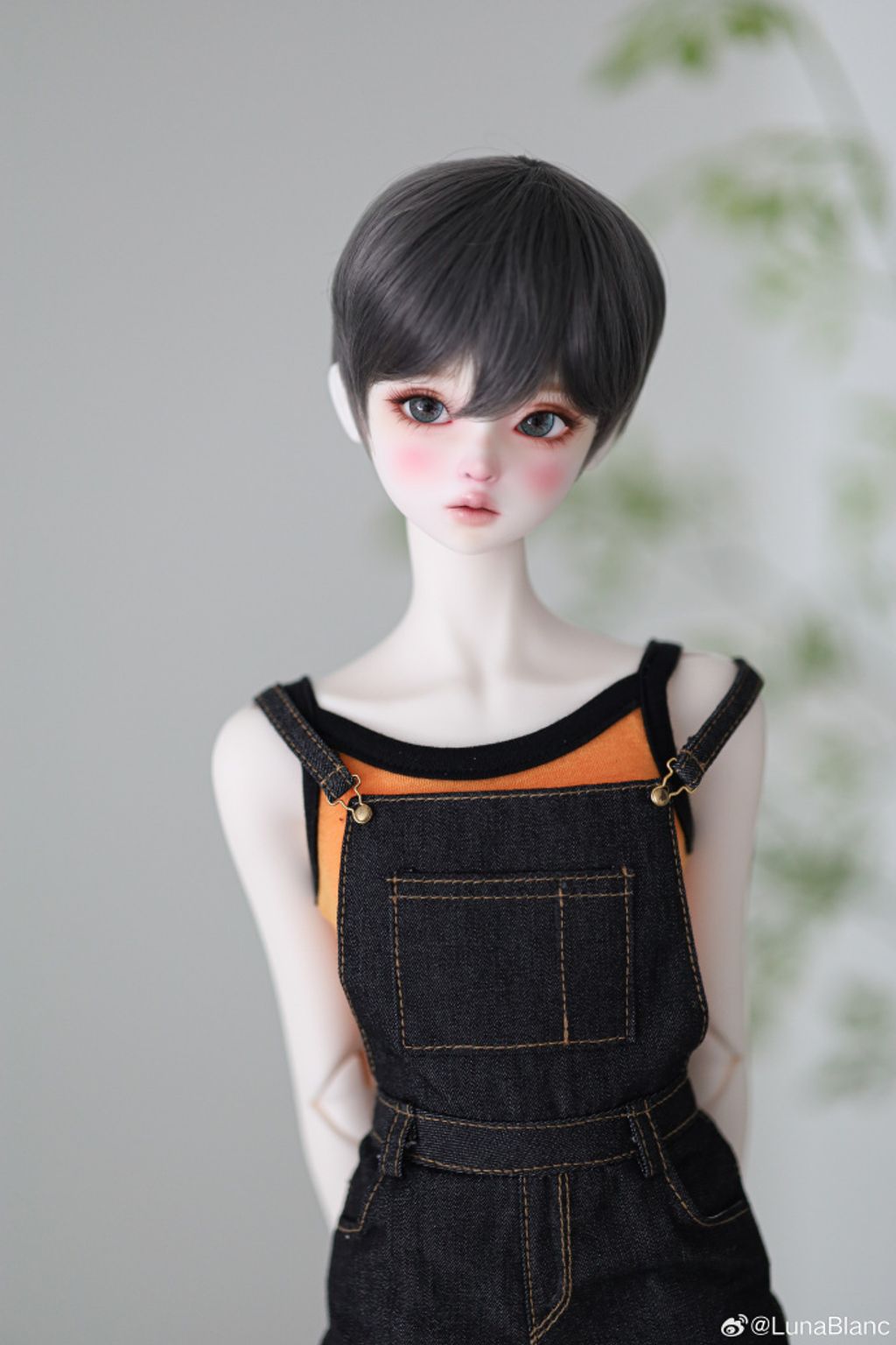 008BUlbXgy1hu8133gn8pj337k4tcx6t