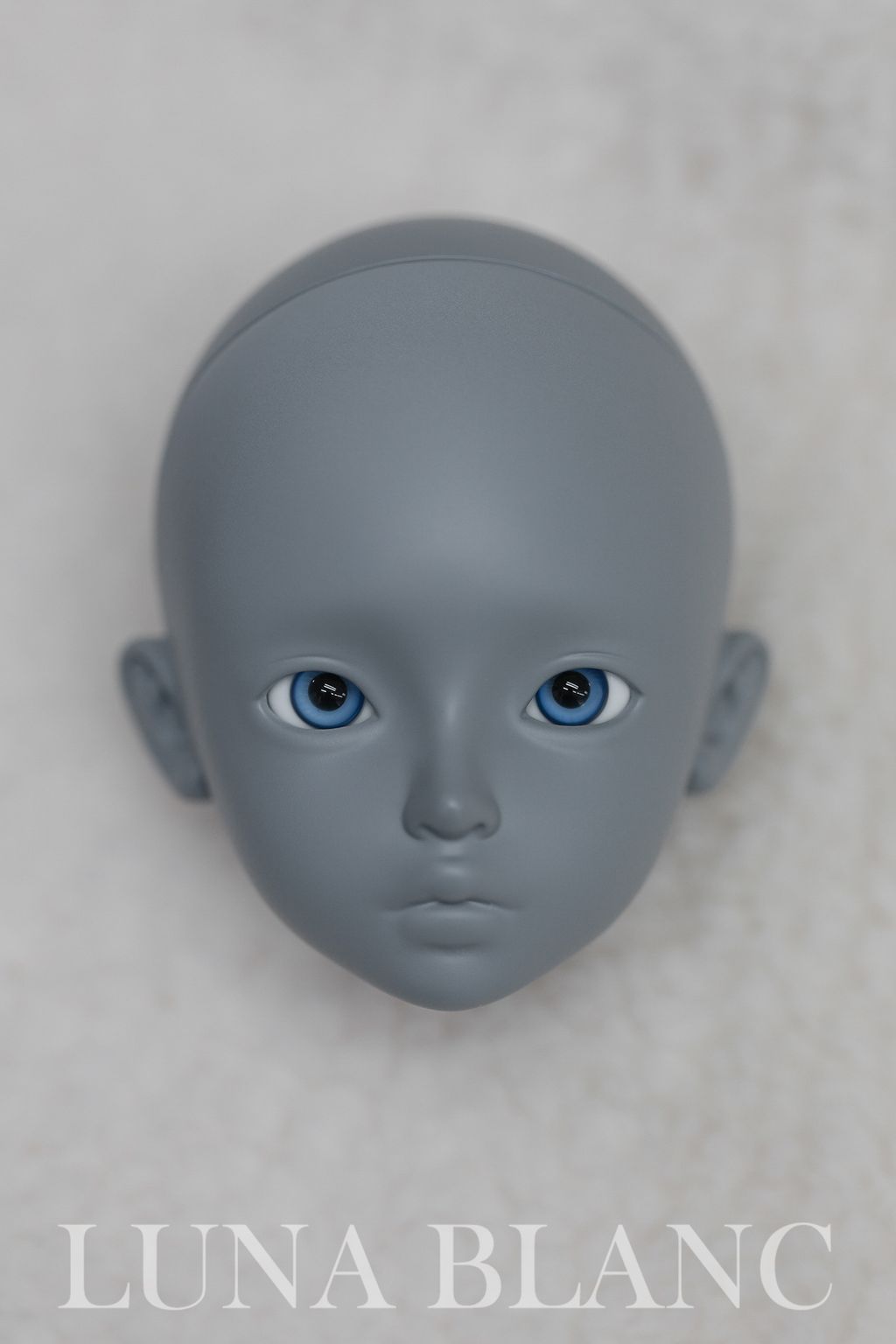 copy-1726207219-IMG_2596