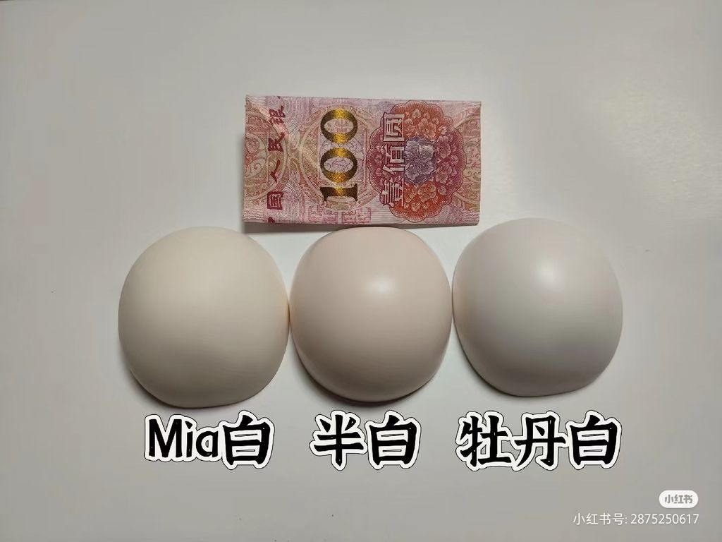 mmexport1731676921307