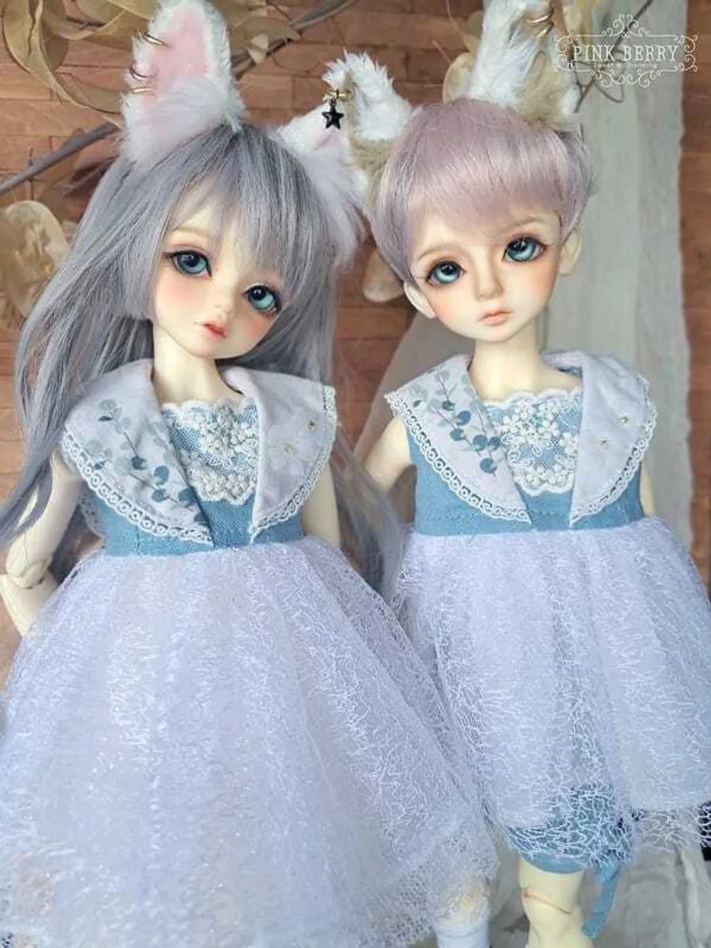 365198836_765837135541720_6859176041217830554_n