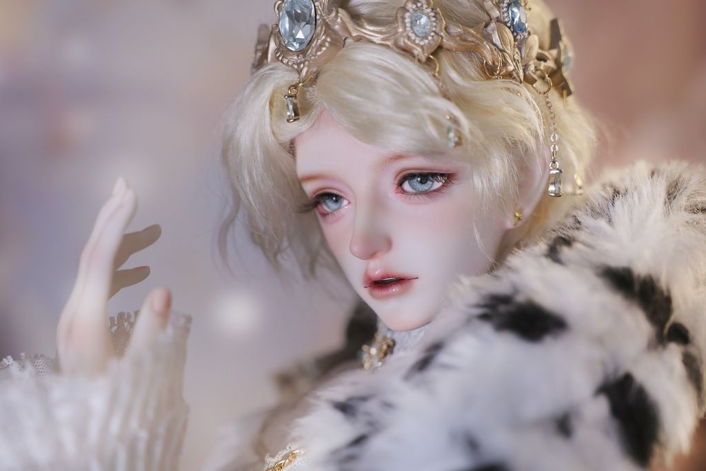 诺兰 (3)
