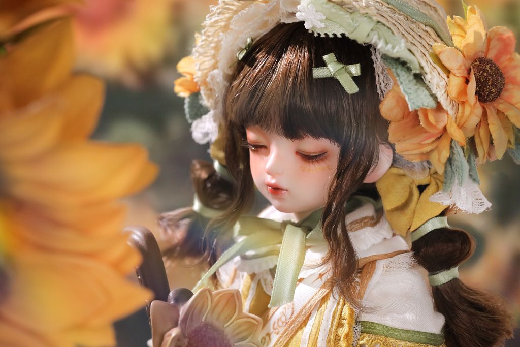 眠眼向日葵 (8)