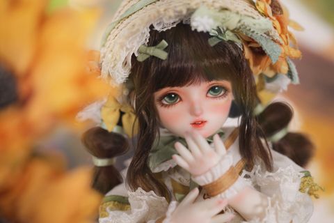 6分开眼向日葵 (2)