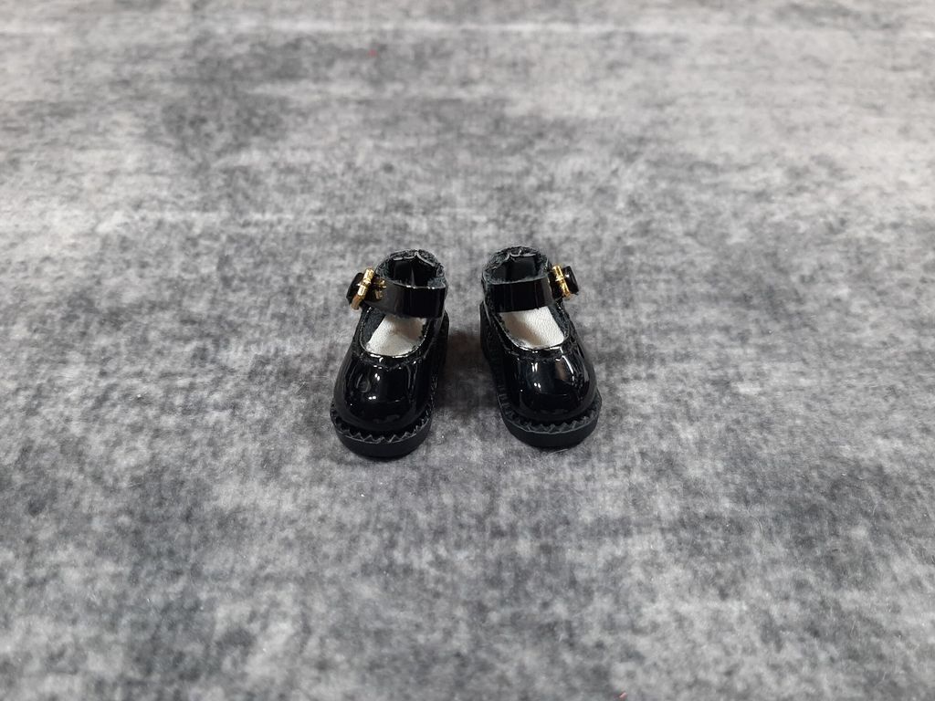 ARS009J06-1