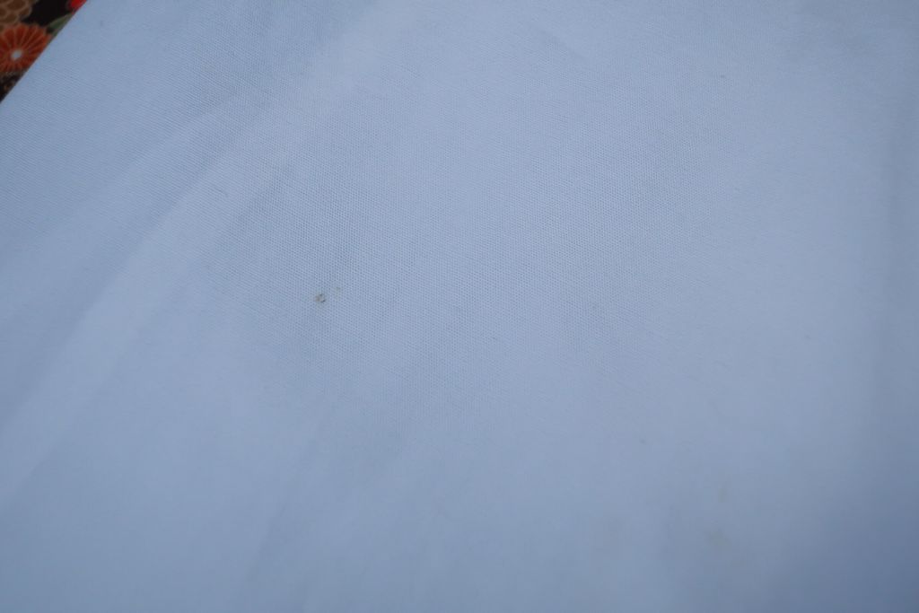 IMG_4300