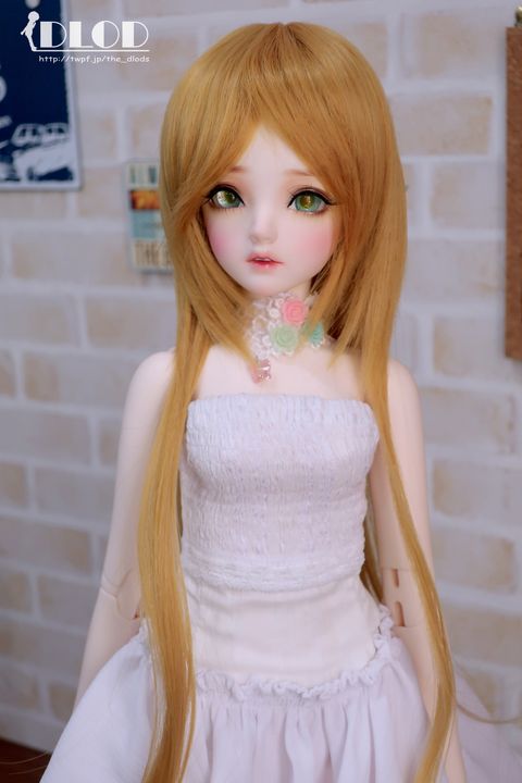 WS003BHB-NT530