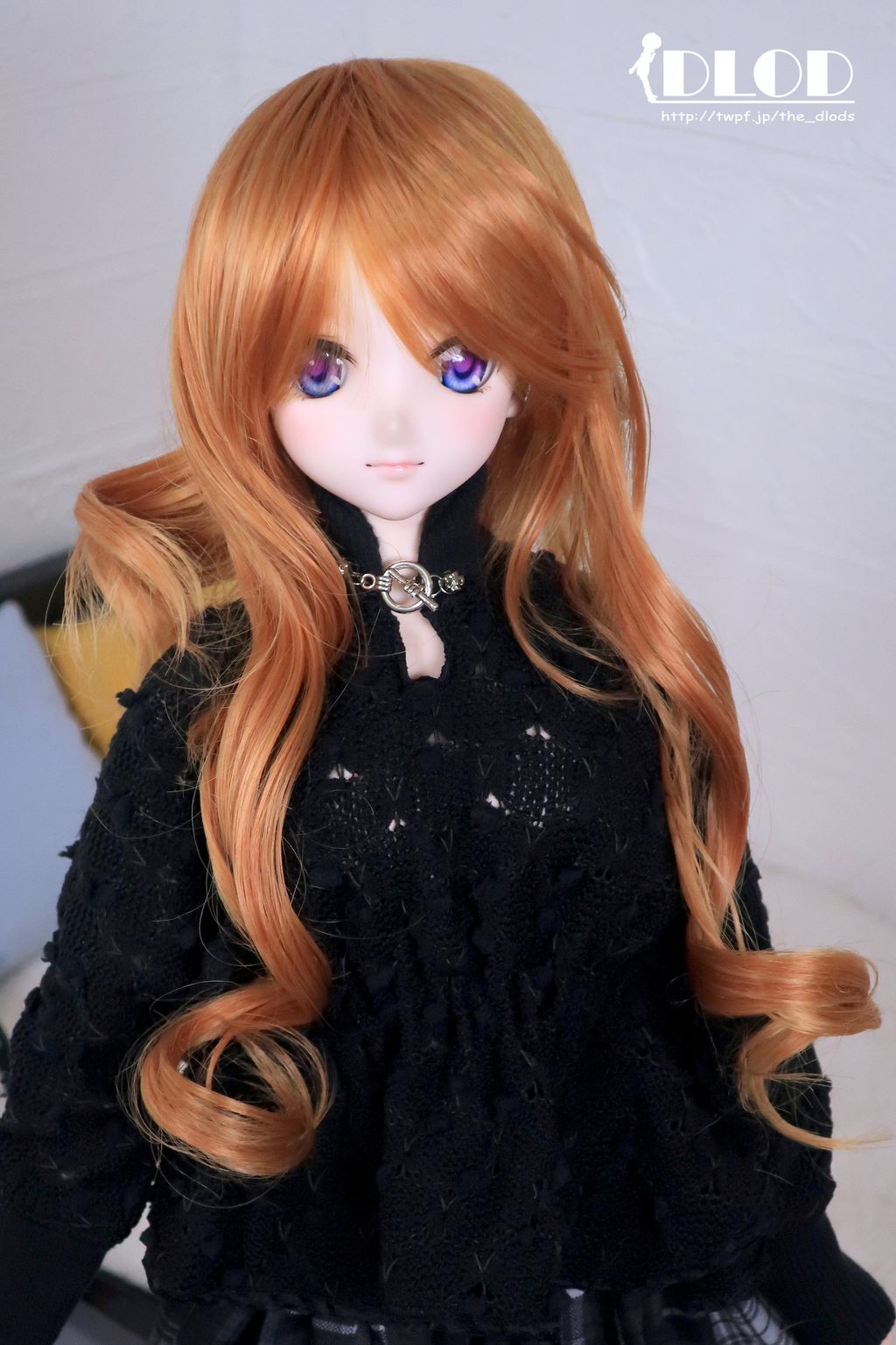 WS019HB-NT530