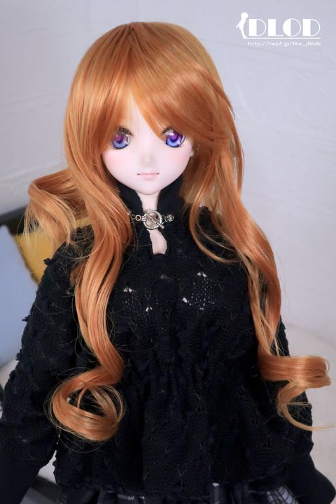WS019HB-NT530