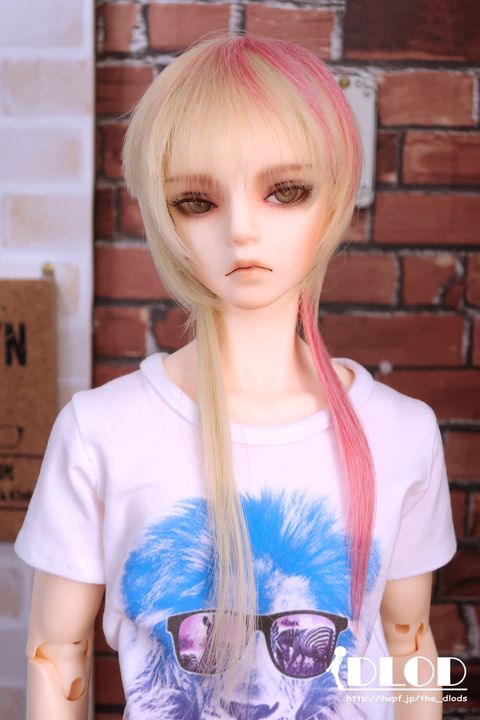 WS018SC-NT530