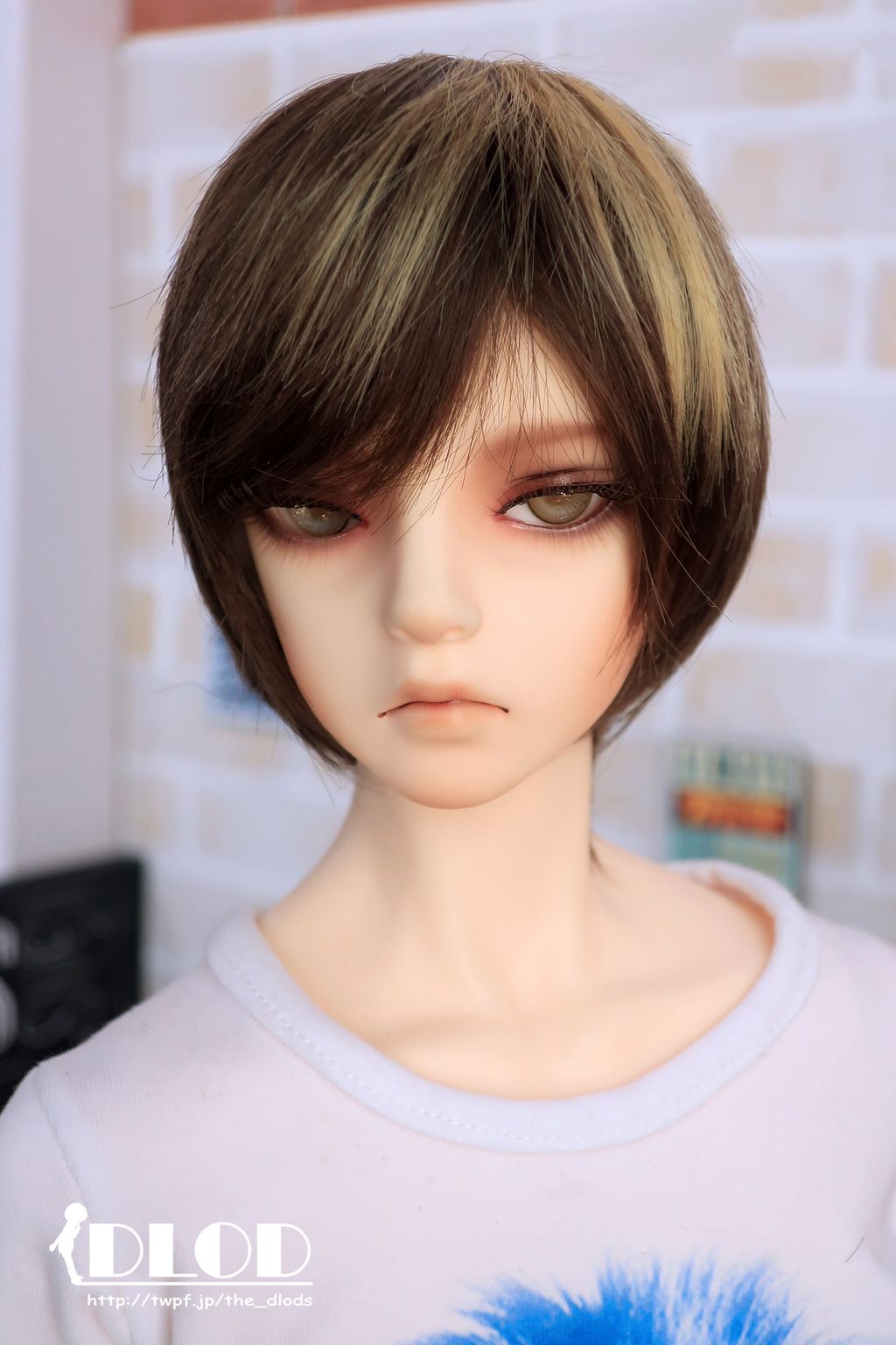 WS017MC-NT530