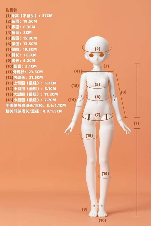 O1CN01jhebZu25NvYHx7RST_!!2212712737515