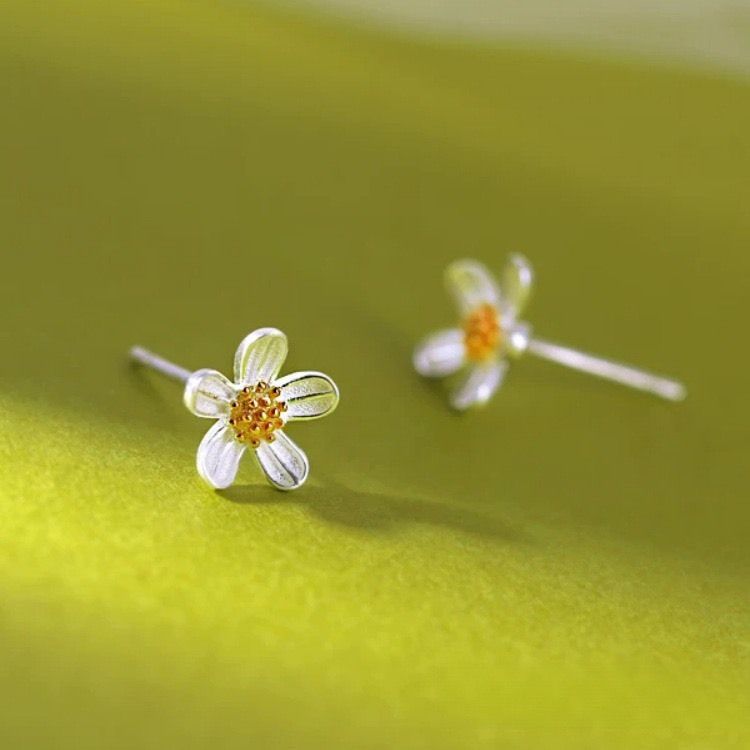 S__58982529_0