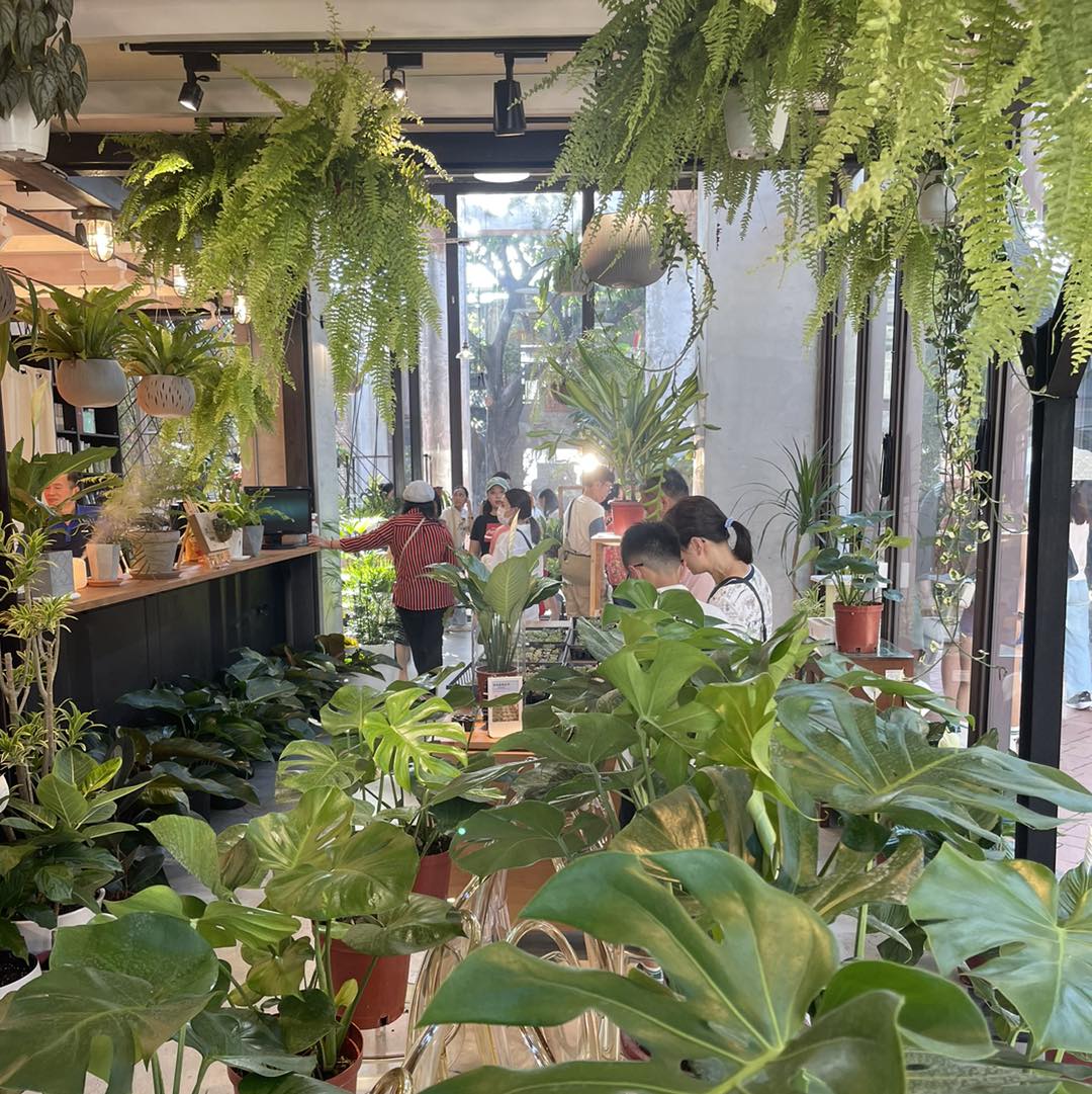 487868864_1179848944152781_2582687957522268956_n