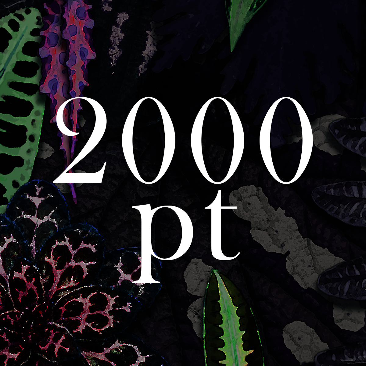 2000pt