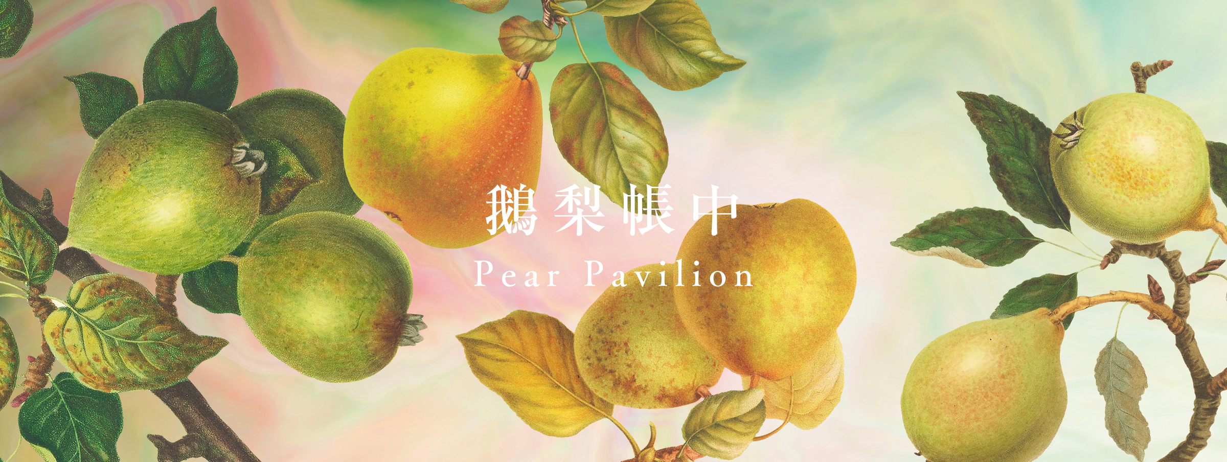 鵝梨帳中 Pear Pavilion