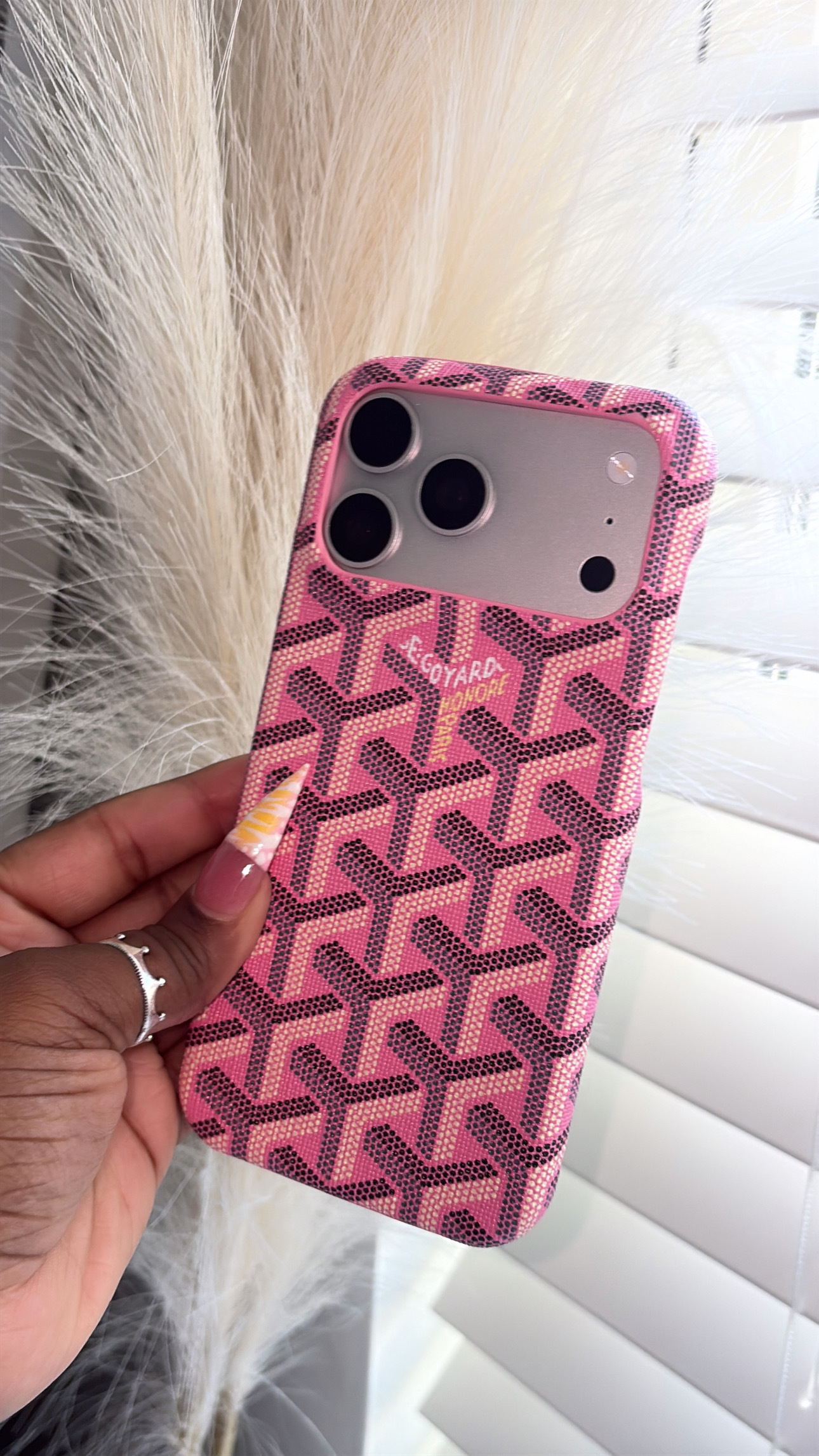 image_911D9B14-5887-49C0-AECD-99DA62E8243F_1767760672