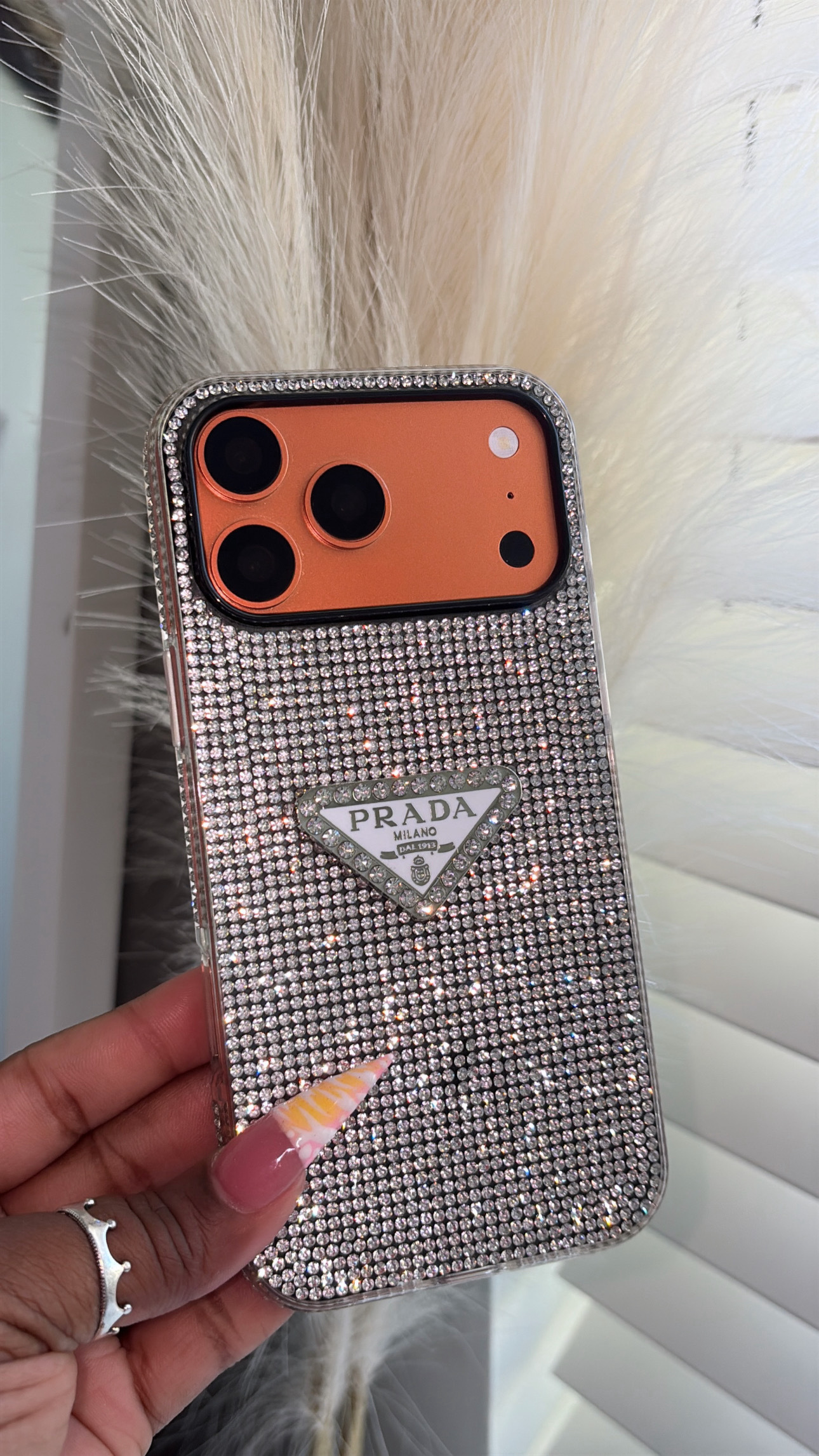 image_B3BE169C-996C-44F3-9900-FCD46D297470_1768410749