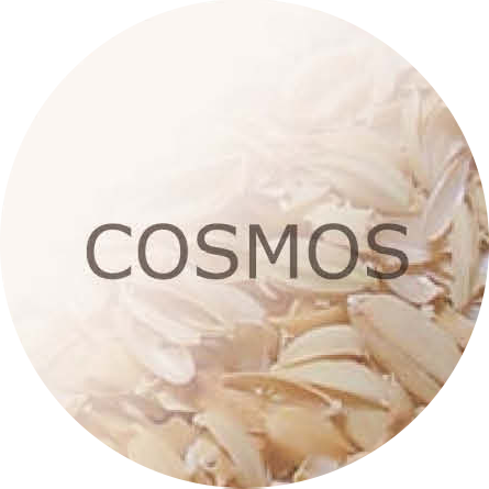 COSMOS米糠萃取