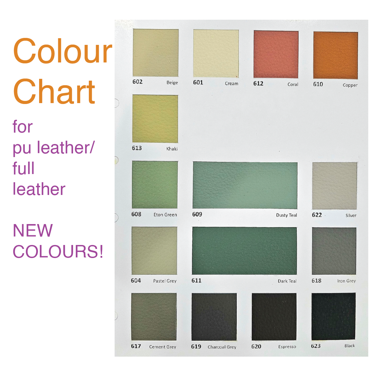 colour charts kitty pu-01