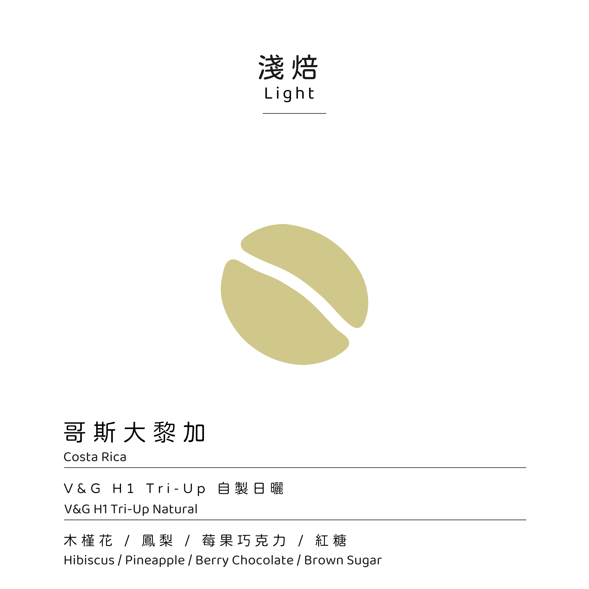 模板焙度_淺焙 - V&G