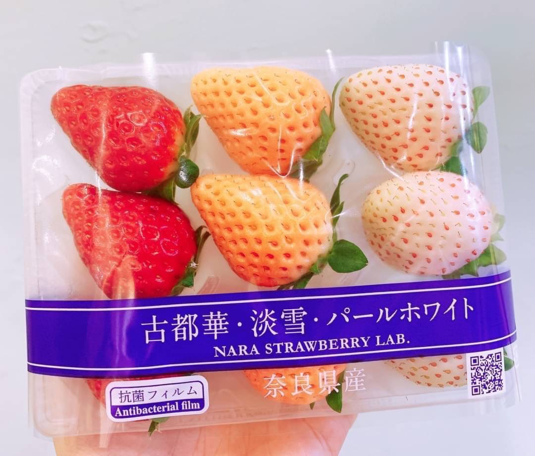 奈良三色草莓小包2