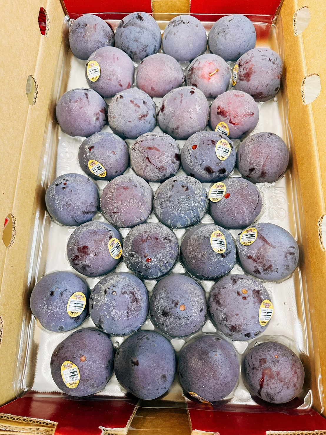 美國 加州 夜玫瑰 特甜黑李