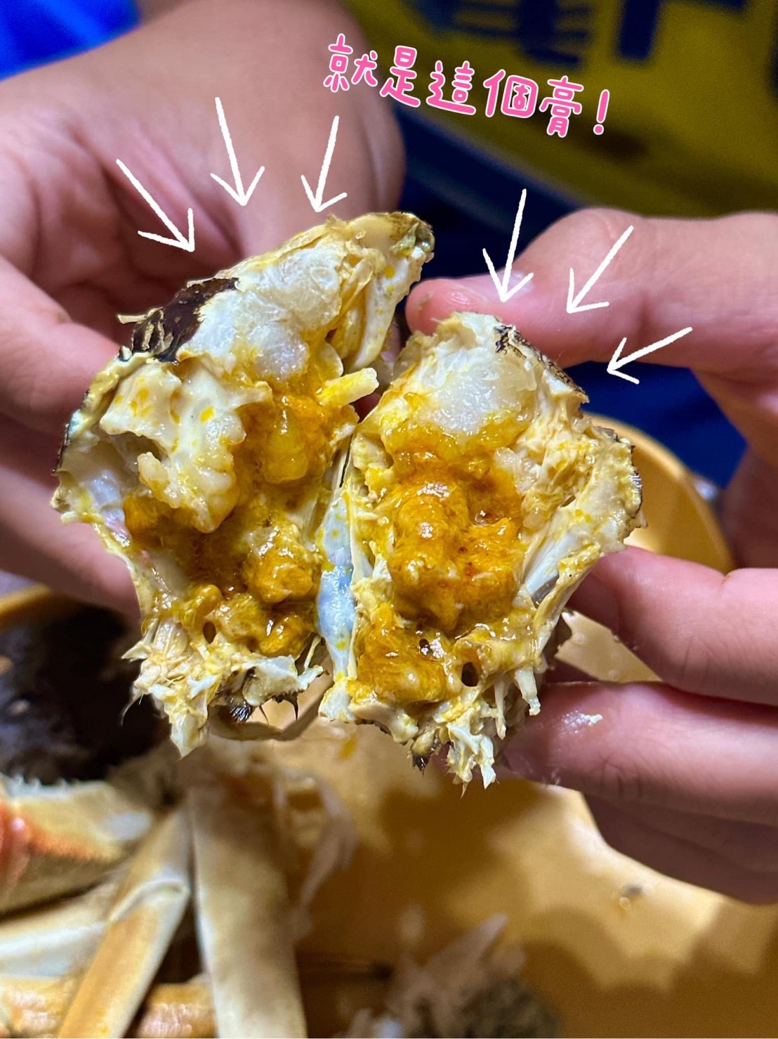 S__18014530_0