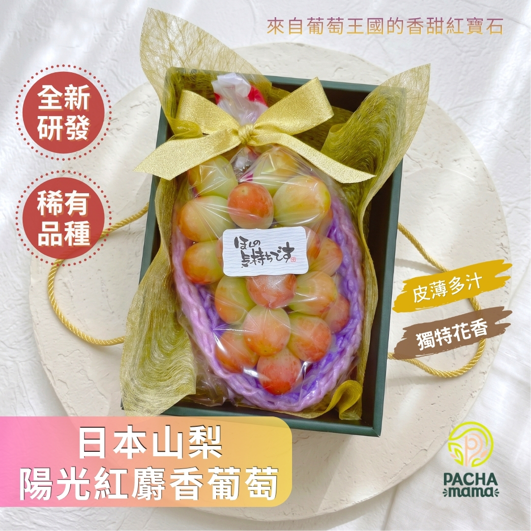 14ä¸­ç§ç¦®çC3