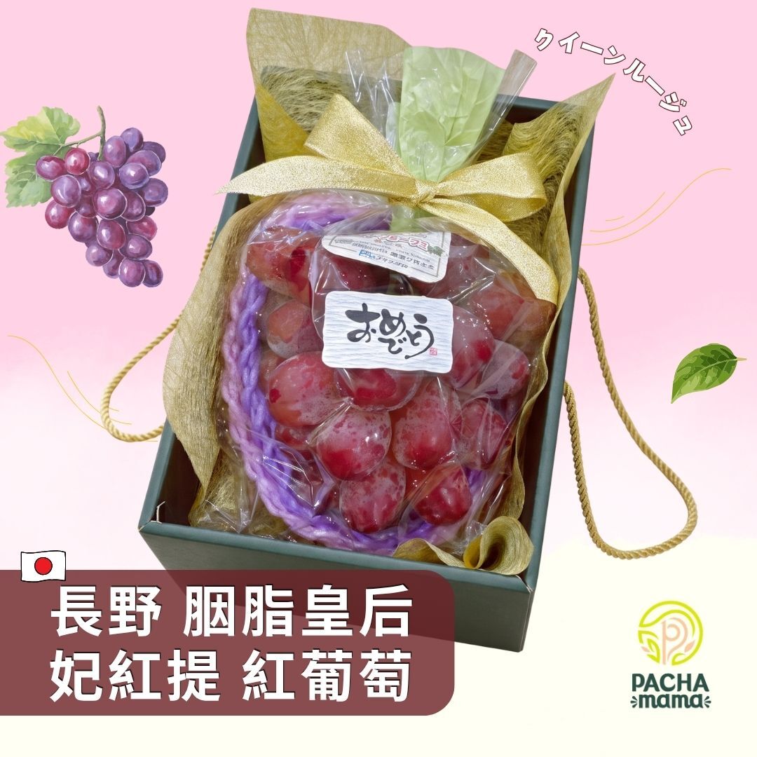 æ¥æ¬ é·é ãQueen Rougeãç¨æåç¨® å¦ç´æ è­èçå ç´è¡è ã¯ã¤ã¼ã³ã«ã¼ã·ãã¥ ä¸æ¿ç¦®çð-C