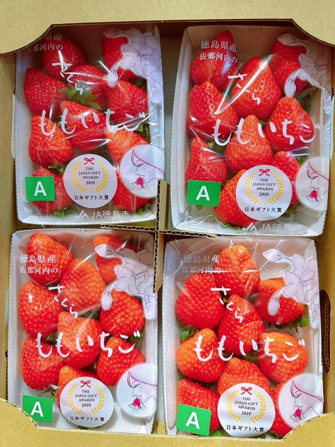 櫻花水蜜桃 草莓 家庭號