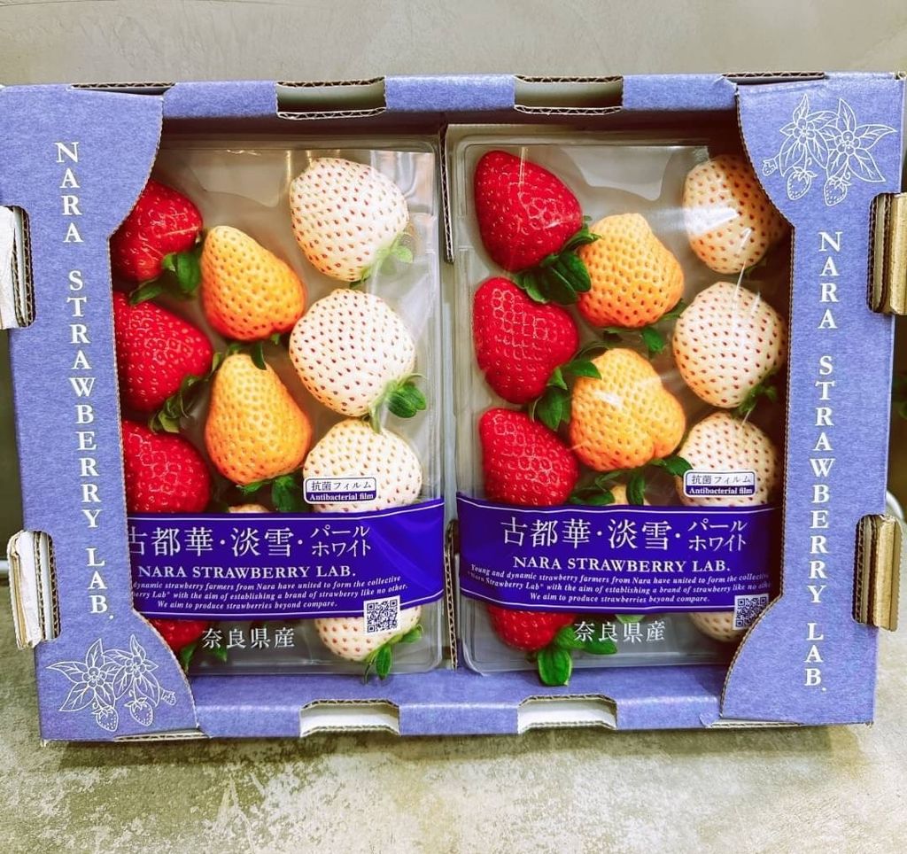 奈良三色草莓3