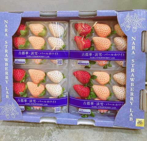 奈良三色草莓小包