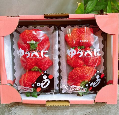 熊本菊池 熊紅 小糖蜜草莓