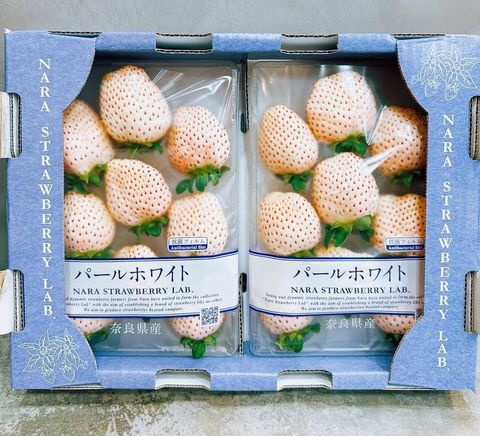 奈良珍珠白草莓2
