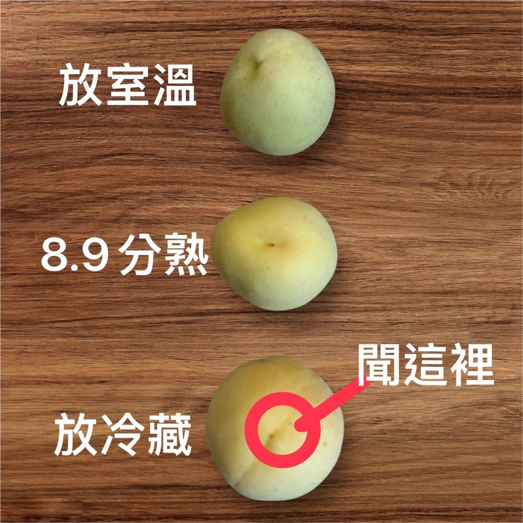 S__5742819