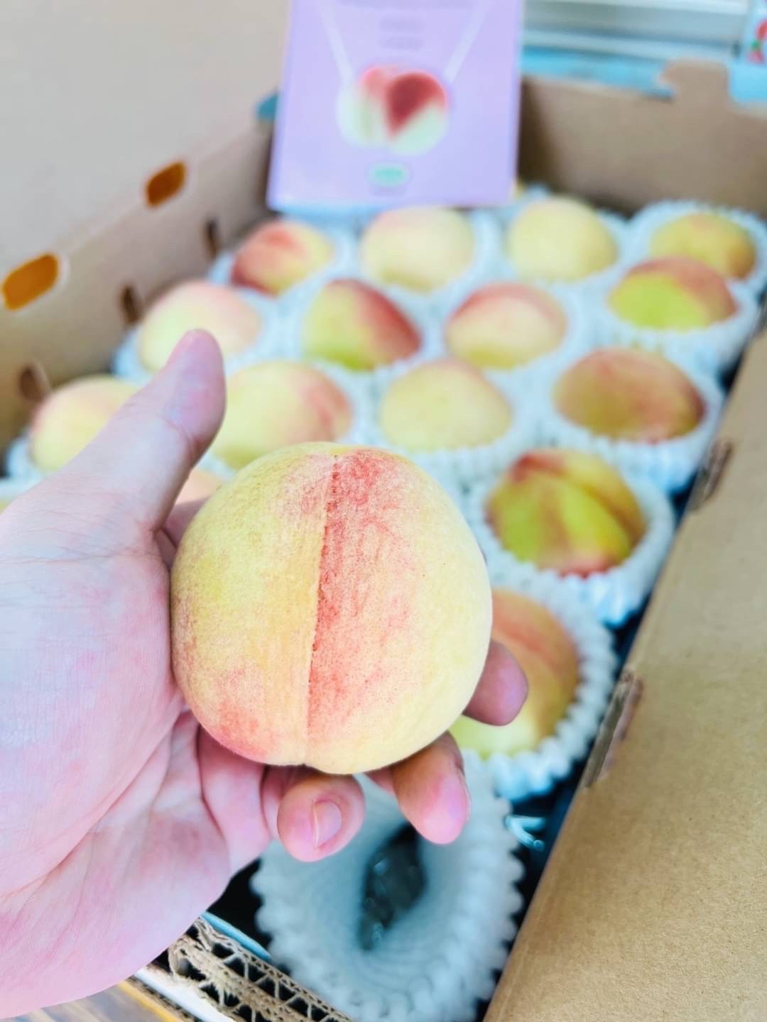 🇺🇸美國 加州 頂級 壽康桃🍑✨翠玉品種🍑3